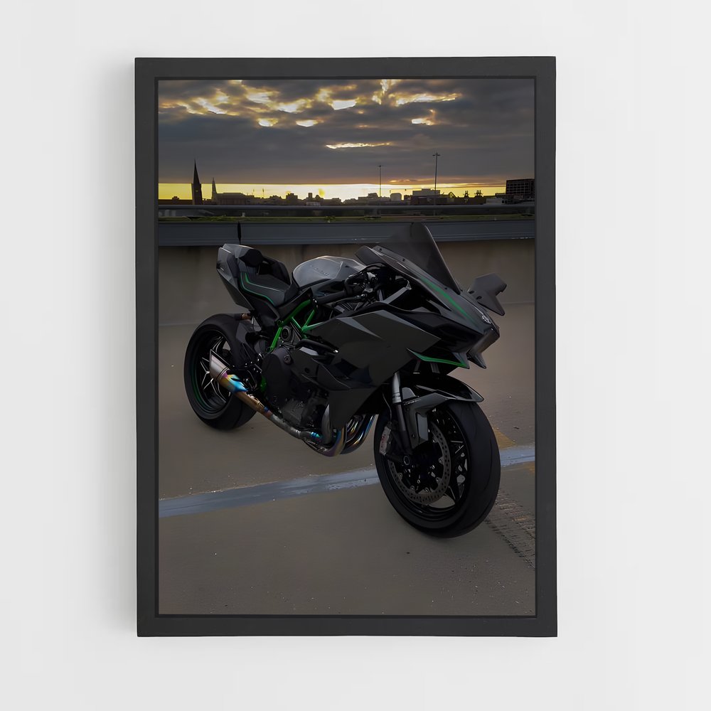 Poster Ninja h mystérieux (vue 2)